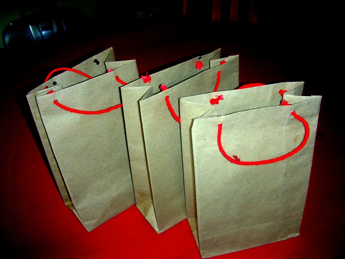 Environment Friendly paper bags by Alice